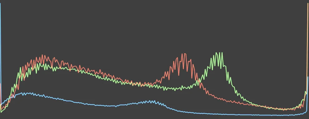 Histogram