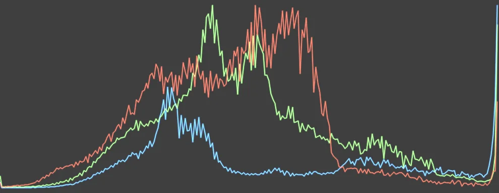 Histogram